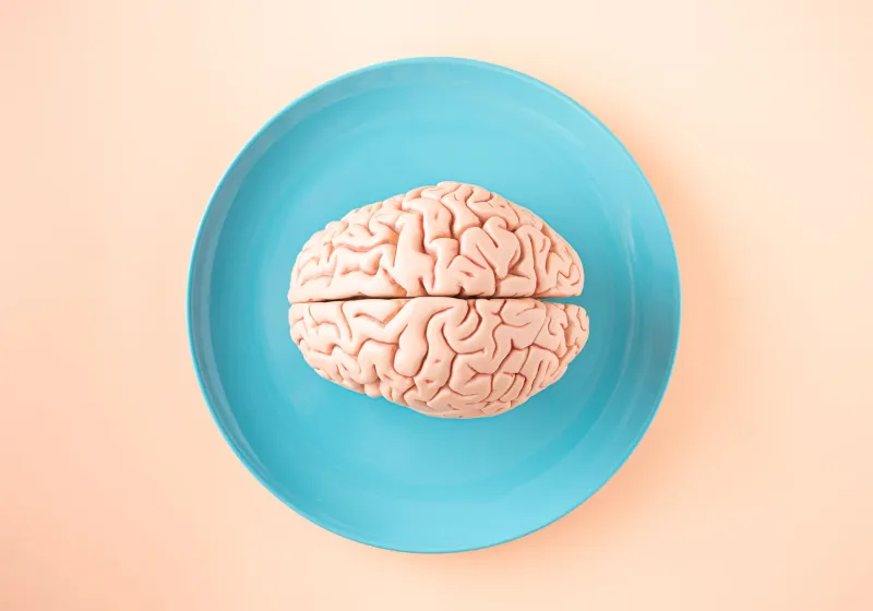 O Seu Intestino Tem Sentimentos: Como a Saúde do Seu Gut Molda Suas Emoções